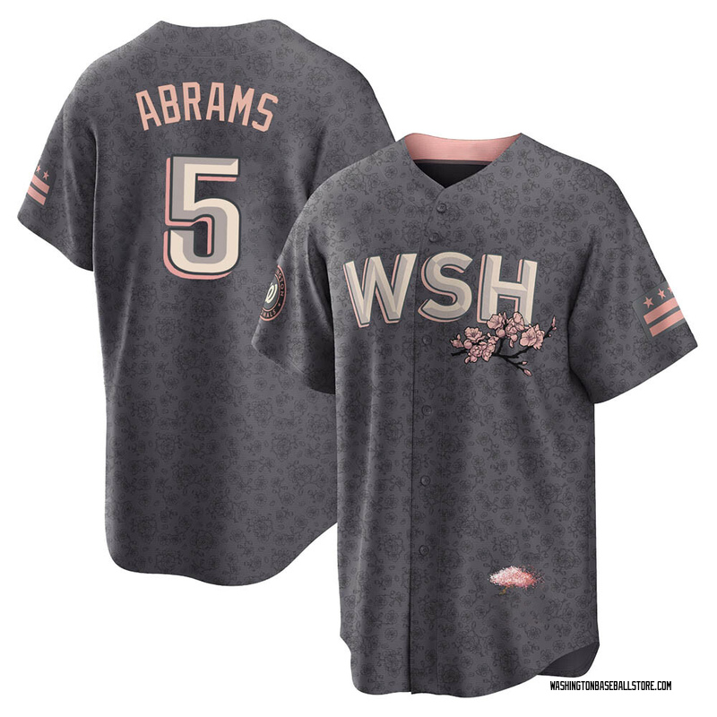 CJ Abrams Youth Washington Nationals 2022 City Connect Jersey - Gray Replica