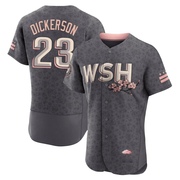 Corey Dickerson Men's Washington Nationals 2022 City Connect Jersey - Gray Authentic