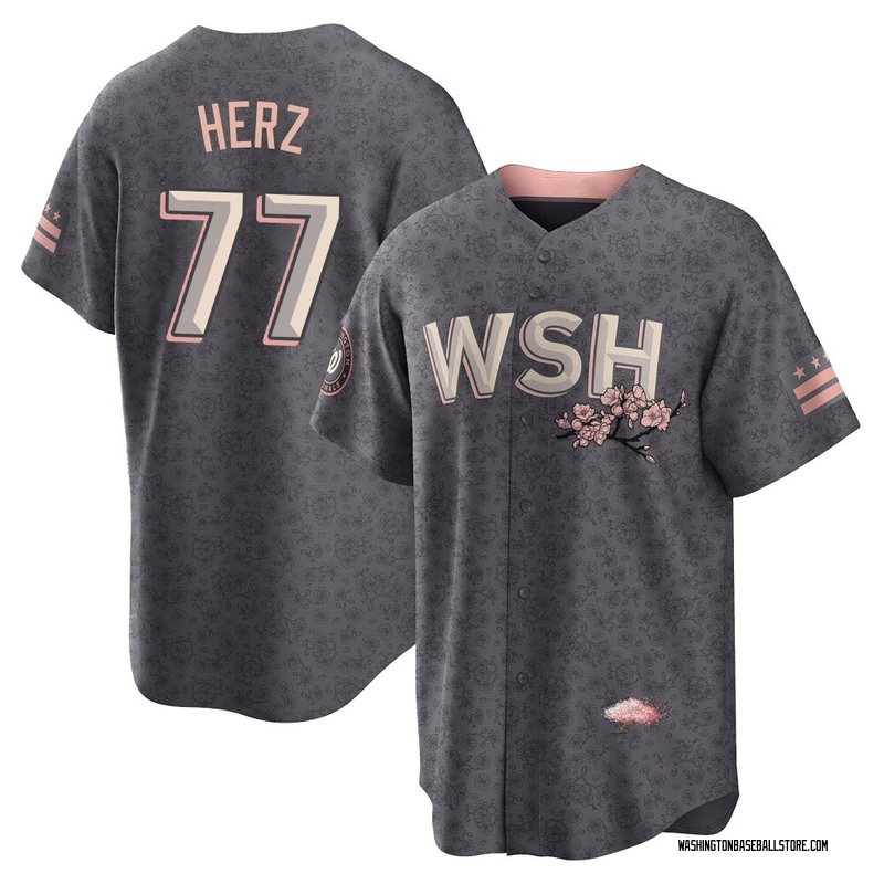 DJ Herz Men's Washington Nationals 2022 City Connect Jersey - Gray Replica