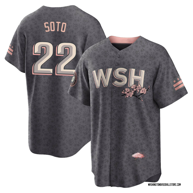 Juan Soto Youth Washington Nationals 2022 City Connect Jersey